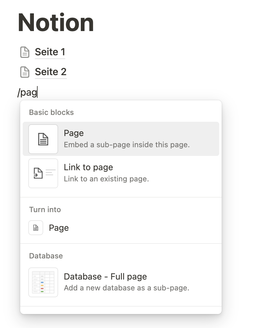 Notion Seiten