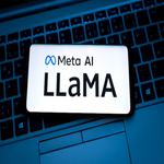 Llama von Meta AI