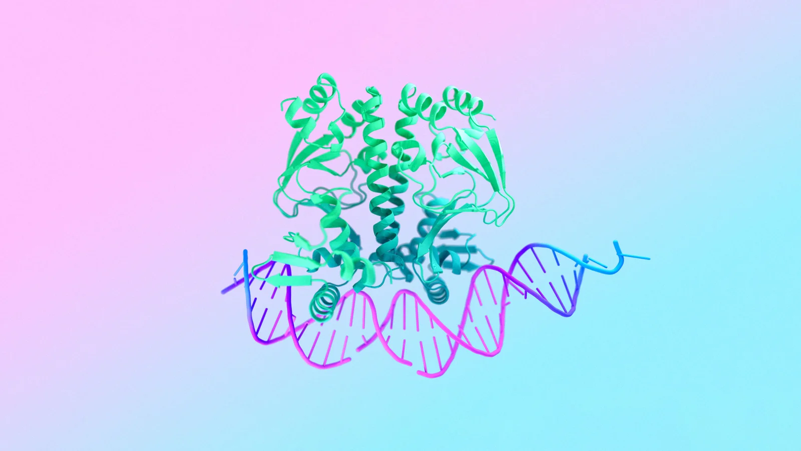 3D-Modell eines Proteins und einer DNA-Struktur, erstellt von AlphaFold 3, zeigt die fortschrittliche KI-basierte Vorhersage biologischer Interaktionen mit leuchtenden Farben auf einem pastellfarbenen Hintergrund.